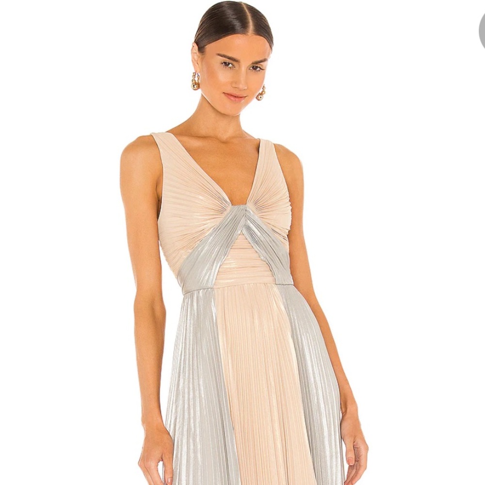 BCBG metallic A Line dress pleated (10)